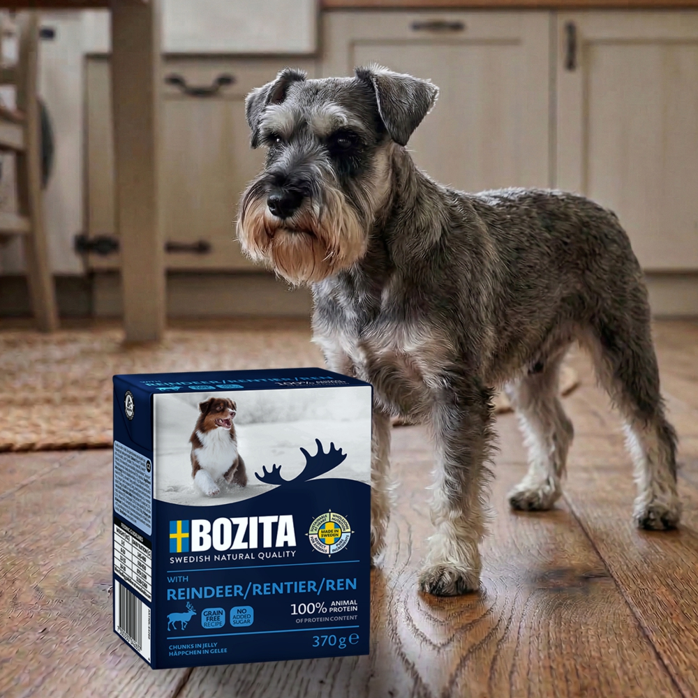 Karma Bozita renifer w galarecie dla psa 370g